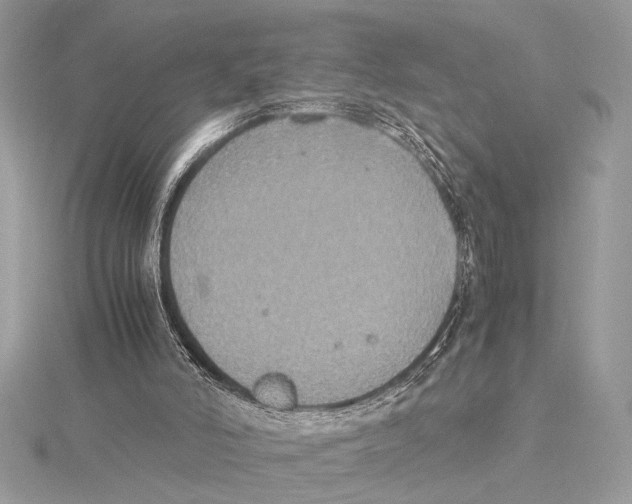 X0000115350006200912011101