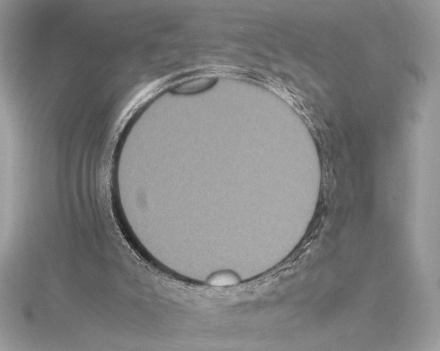 X0000115350007200912011101