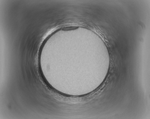 X0000115350008200912011101