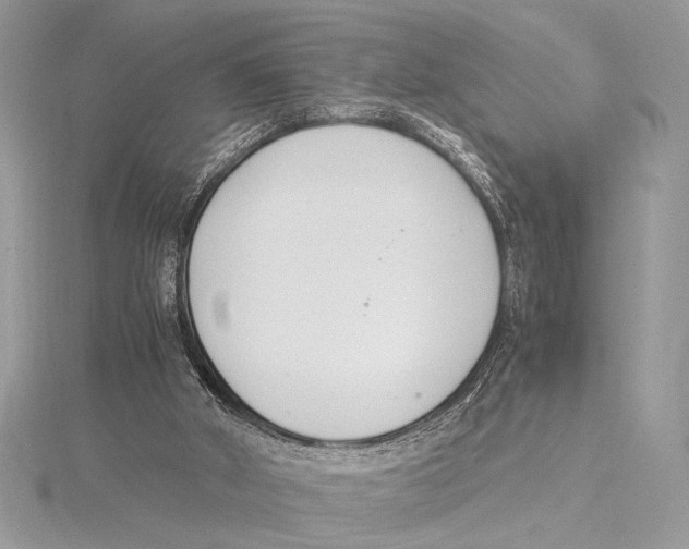 X0000115350010200912011101