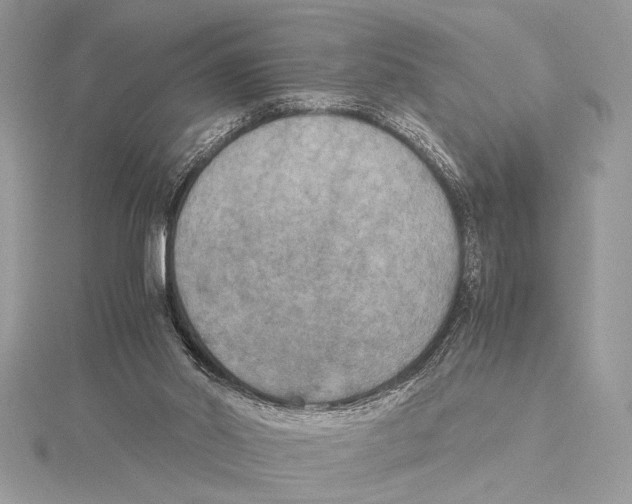 X0000115350014200912011101