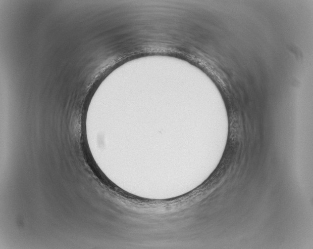 X0000115350015200912011101