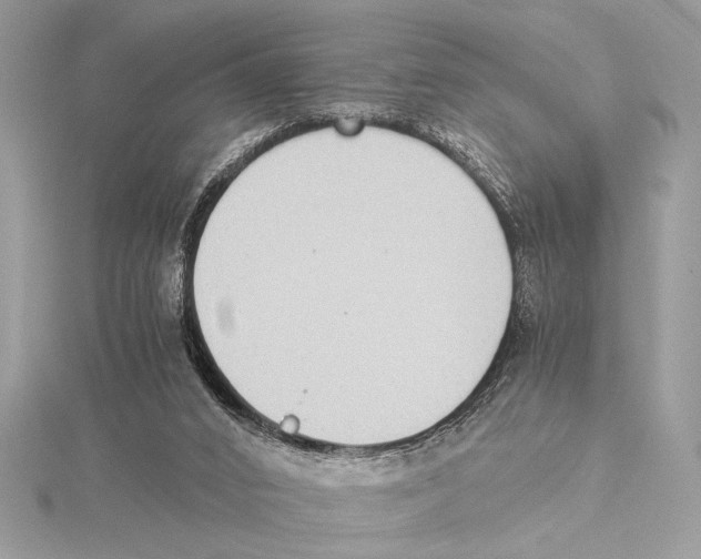 X0000115350016200912011101