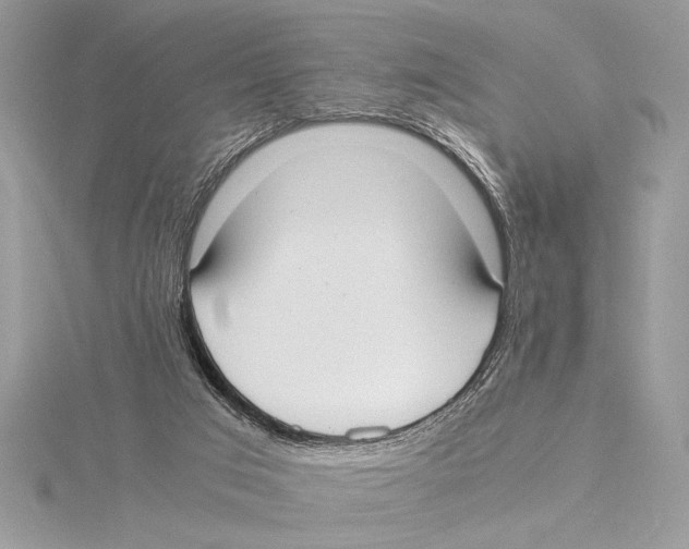 X0000115350017200912011101