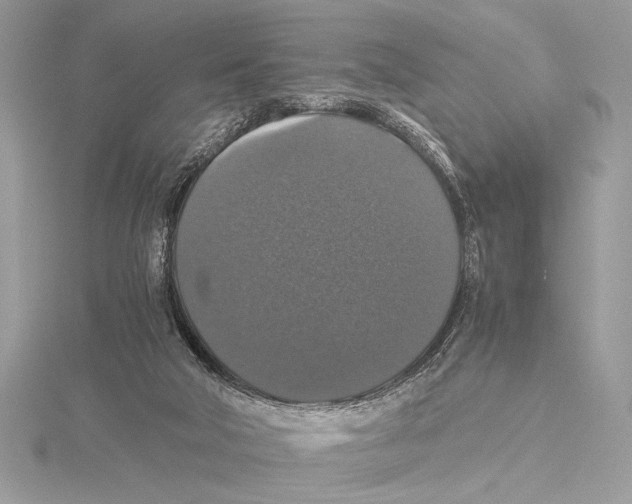 X0000115350018200912011101