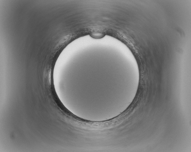 X0000115350019200912011101