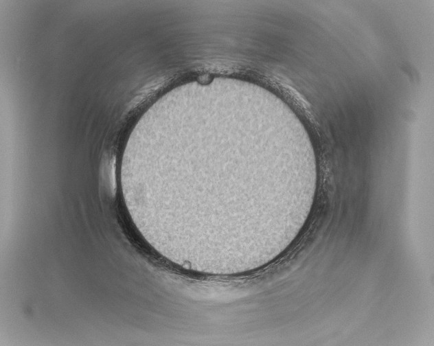 X0000115350020200912011101