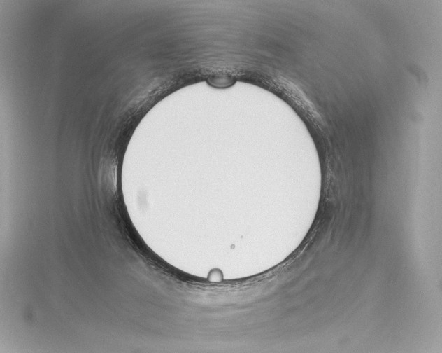 X0000115350021200912011101