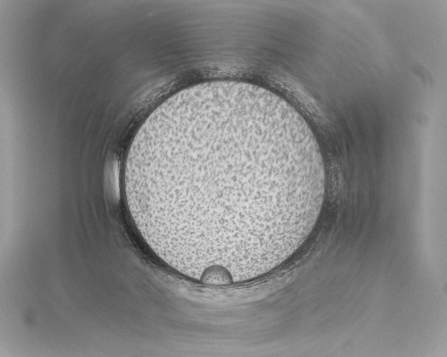 X0000115350022200912011101