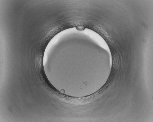 X0000115350023200912011101