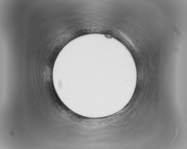 X0000115350025200912011101