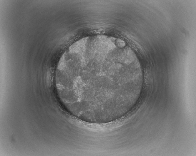 X0000115350030200912011101