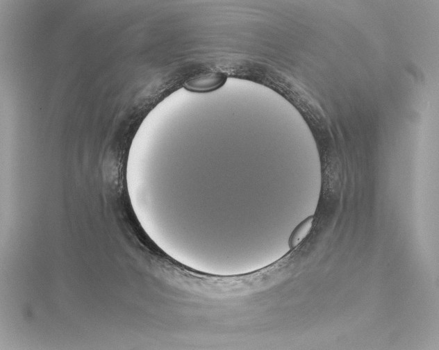 X0000115350031200912011101