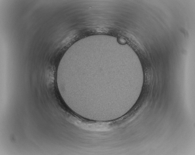 X0000115350032200912011101