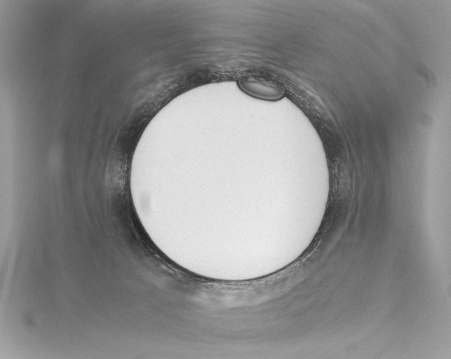 X0000115350033200912011101