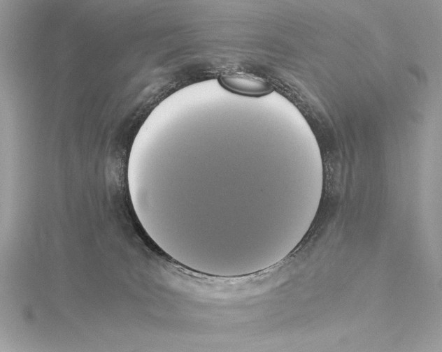 X0000115350035200912011101