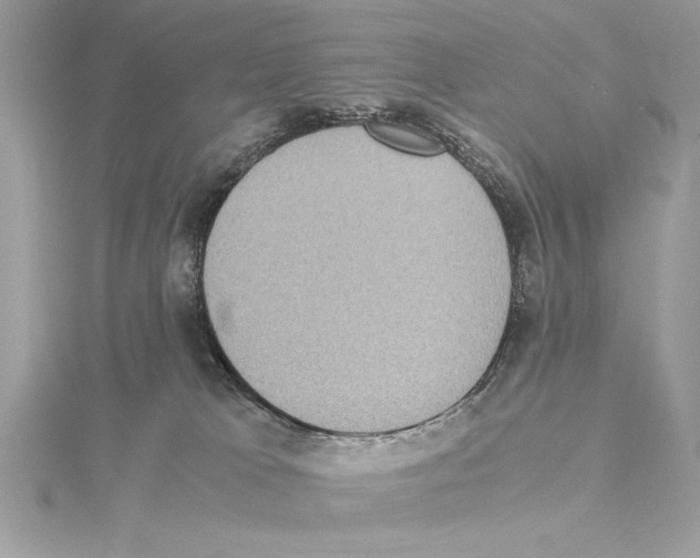 X0000115350037200912011101