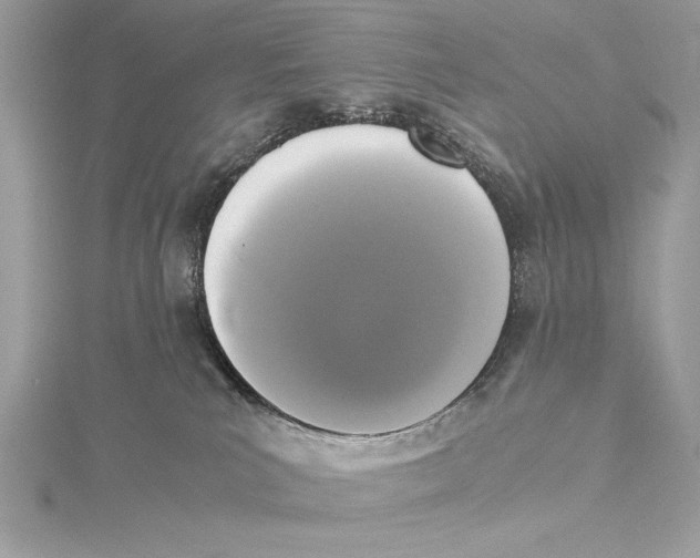 X0000115350039200912011101