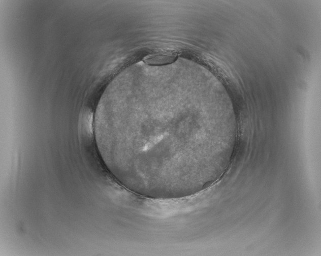 X0000115350041200912011101