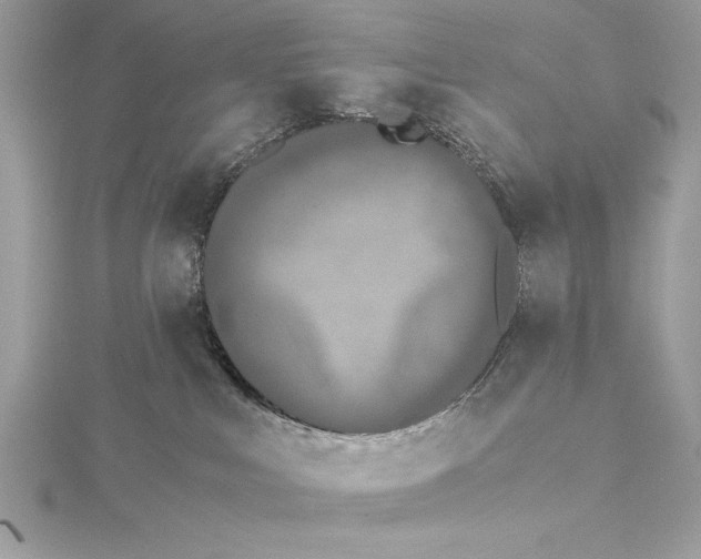 X0000115350043200912011101