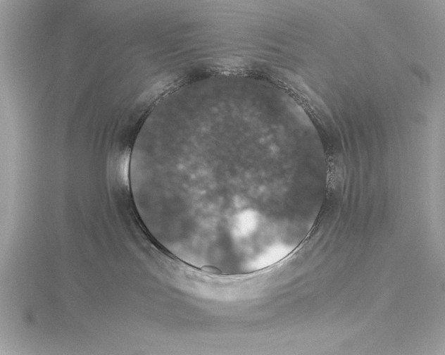 X0000115350047200912011101