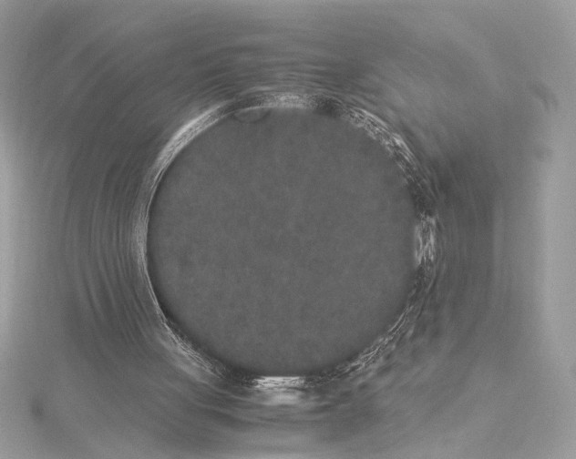 X0000115350051200912011100