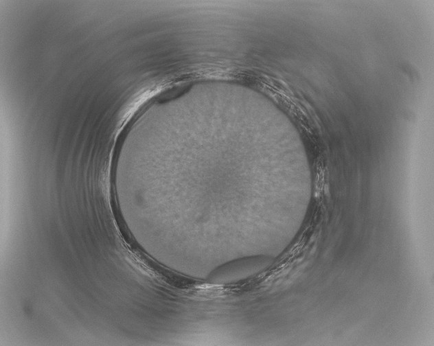 X0000115350052200912011100