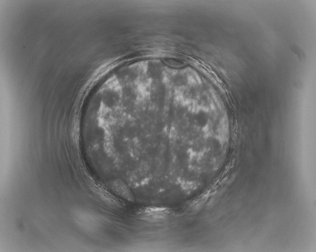 X0000115350055200912011100