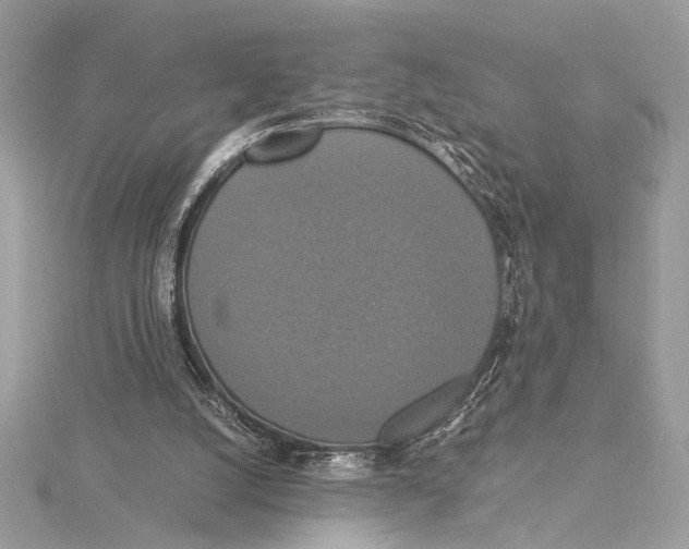 X0000115350056200912011100