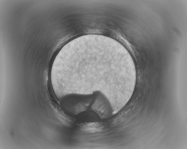 X0000115350059200912011100