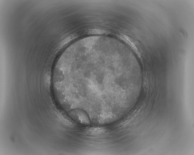 X0000115350063200912011100