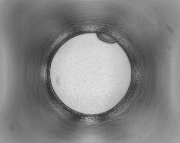 X0000115350064200912011100