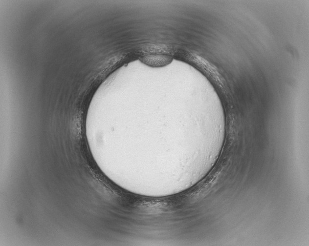 X0000115350065200912011100