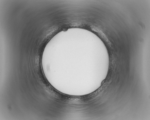 X0000115350066200912011100