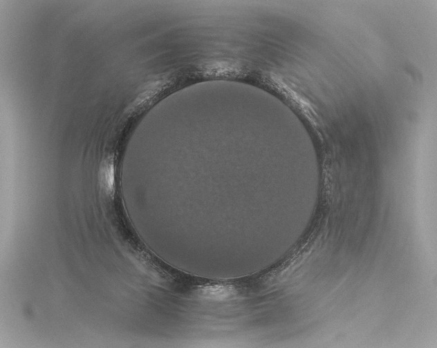 X0000115350067200912011101