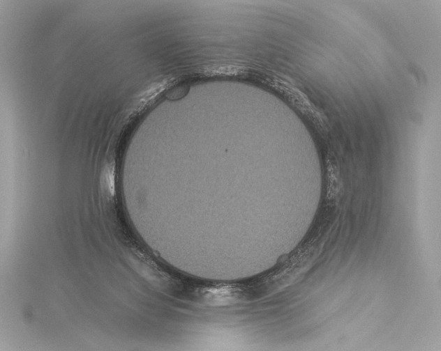 X0000115350068200912011101