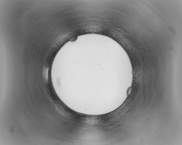 X0000115350070200912011101