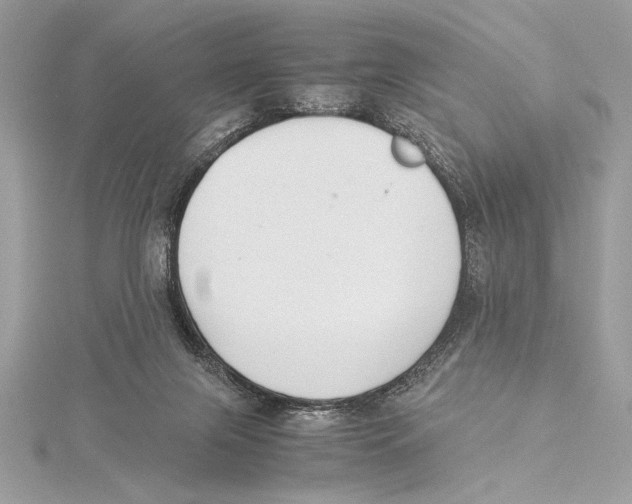 X0000115350071200912011101