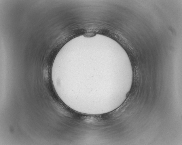 X0000115350074200912011101