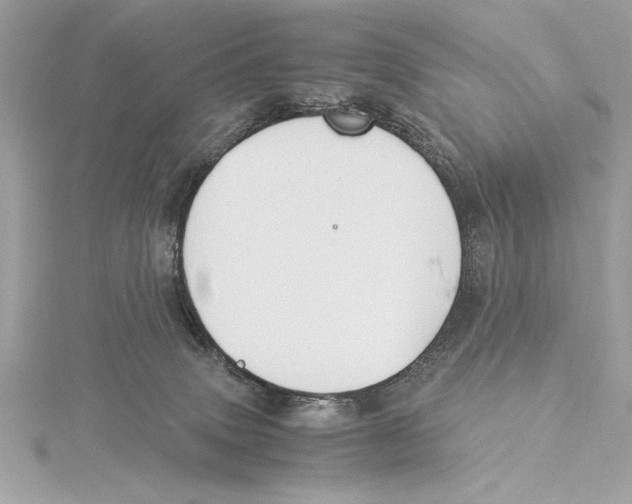 X0000115350083200912011101