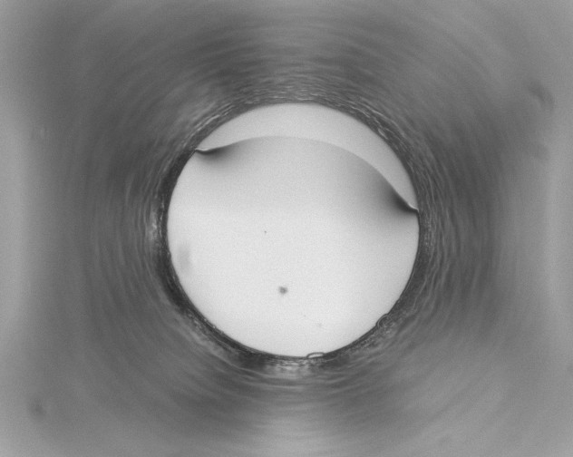 X0000115350084200912011101