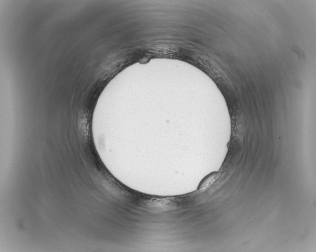 X0000115350086200912011101