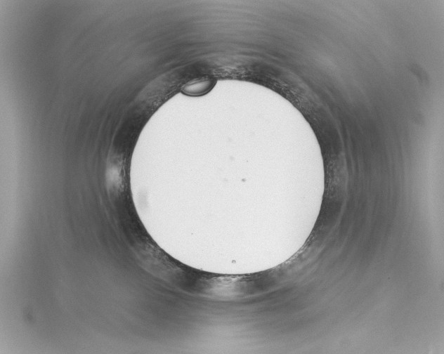 X0000115350090200912011101