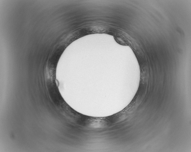 X0000115350093200912011101