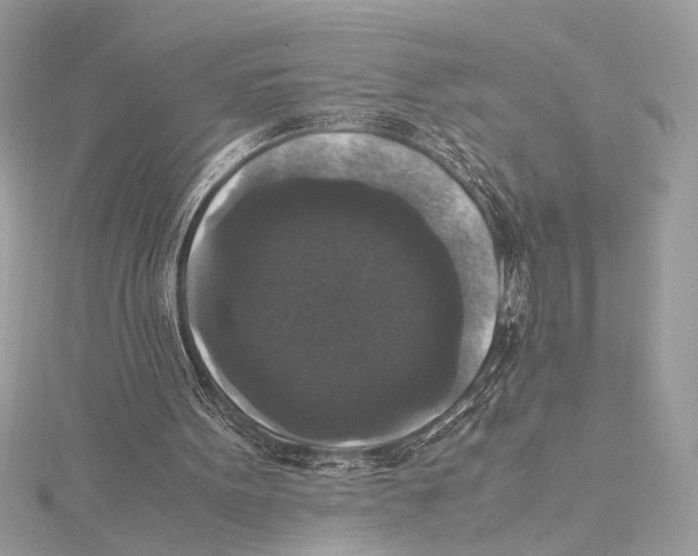 X0000115350099200912011100