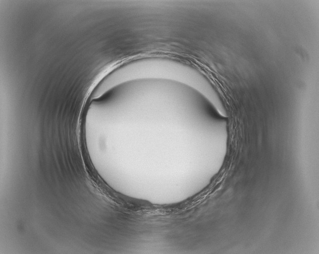 X0000115350100200912011100