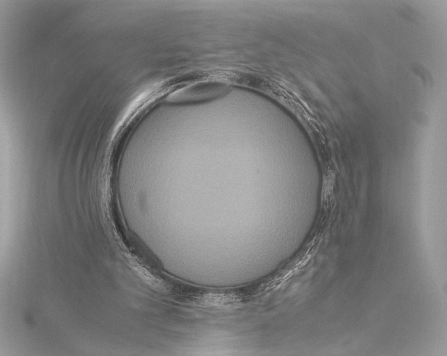 X0000115350101200912011100