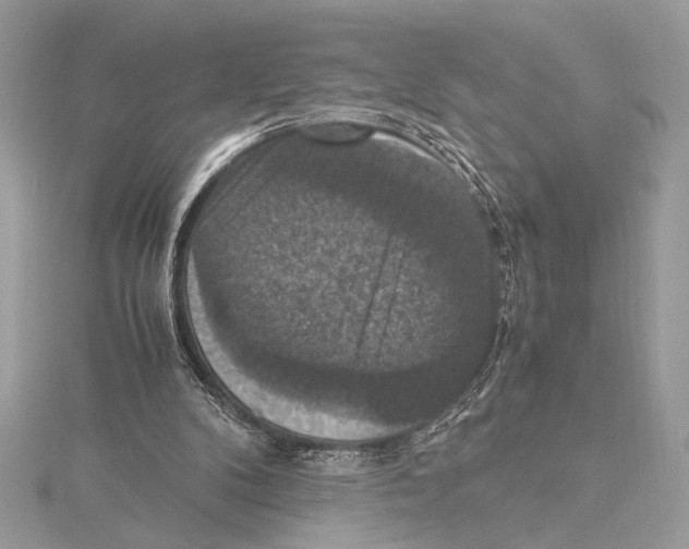 X0000115350104200912011100