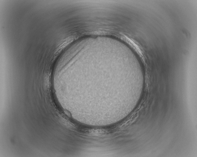 X0000115350105200912011100