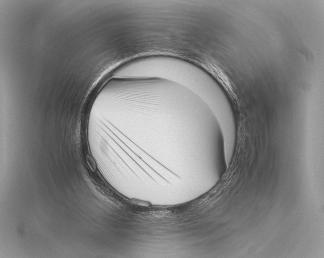 X0000115350108200912011100